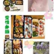 ヒメ日記 2026/04/17 07:34 投稿 飯島百合子(いいじまゆりこ) 五十路マダムエクスプレス厚木店(カサブランカグループ)