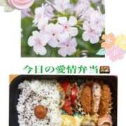 ヒメ日記 2026/04/18 07:28 投稿 飯島百合子(いいじまゆりこ) 五十路マダムエクスプレス厚木店(カサブランカグループ)