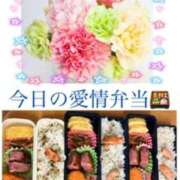 ヒメ日記 2026/05/12 07:40 投稿 飯島百合子(いいじまゆりこ) 五十路マダムエクスプレス厚木店(カサブランカグループ)