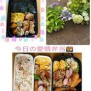 ヒメ日記 2026/07/02 07:54 投稿 飯島百合子(いいじまゆりこ) 五十路マダムエクスプレス厚木店(カサブランカグループ)