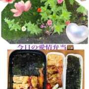 ヒメ日記 2026/07/08 07:40 投稿 飯島百合子(いいじまゆりこ) 五十路マダムエクスプレス厚木店(カサブランカグループ)
