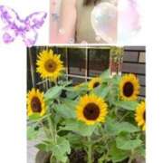 ヒメ日記 2026/08/08 07:50 投稿 飯島百合子(いいじまゆりこ) 五十路マダムエクスプレス厚木店(カサブランカグループ)