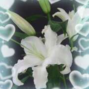 ヒメ日記 2026/08/22 10:24 投稿 飯島百合子(いいじまゆりこ) 五十路マダムエクスプレス厚木店(カサブランカグループ)