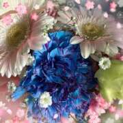 ヒメ日記 2025/03/28 14:50 投稿 こと 奥鉄オクテツ大阪