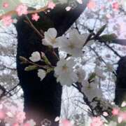 ヒメ日記 2025/03/29 09:20 投稿 こと 奥鉄オクテツ大阪