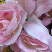 ヒメ日記 2024/12/06 12:29 投稿 めぐみ 熟女総本店 堺東店