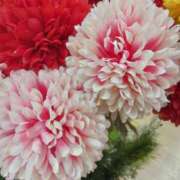 ヒメ日記 2024/12/06 12:36 投稿 めぐみ 熟女総本店 堺東店