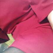 ヒメ日記 2024/12/12 11:49 投稿 めぐみ 熟女総本店 堺東店