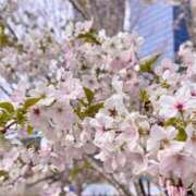 ヒメ日記 2025/04/01 13:40 投稿 あき リアル 梅田店