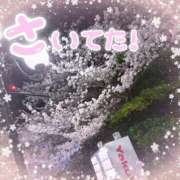 ヒメ日記 2025/04/08 23:52 投稿 ゆき モアグループ神栖人妻花壇