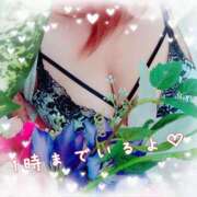 ヒメ日記 2025/06/12 19:47 投稿 ゆき モアグループ神栖人妻花壇