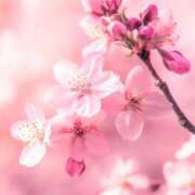 ヒメ日記 2026/03/20 09:38 投稿 いろは タレント倶楽部Around40