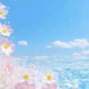 ヒメ日記 2026/05/22 09:38 投稿 いろは タレント倶楽部Around40