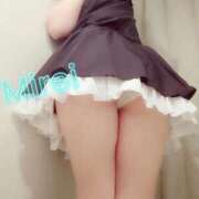 ヒメ日記 2025/04/07 09:47 投稿 みれい先生 渋谷   大人の幼稚園