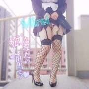 ヒメ日記 2025/05/18 10:14 投稿 みれい先生 渋谷   大人の幼稚園