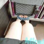 ヒメ日記 2025/09/02 09:47 投稿 みれい MOTHER(旧ママとおねえさん)