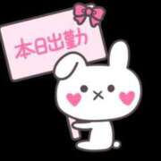 ヒメ日記 2025/01/14 15:57 投稿 ひめか 岐阜岐南各務原ちゃんこ