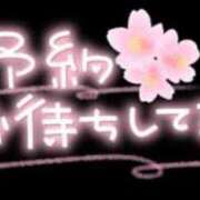 ヒメ日記 2025/04/13 13:17 投稿 ひめか 岐阜岐南各務原ちゃんこ