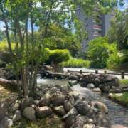 ヒメ日記 2025/07/28 08:57 投稿 ひめか 岐阜岐南各務原ちゃんこ