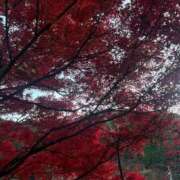 ひめか 夜久しぶり🩷 岐阜岐南各務原ちゃんこ