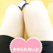 ヒメ日記 2024/12/13 17:57 投稿 かな 岐阜岐南各務原ちゃんこ