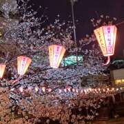 ヒメ日記 2025/04/26 22:12 投稿 れん 所沢デリヘル桜