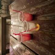 ヒメ日記 2025/10/09 22:29 投稿 れん 所沢デリヘル桜