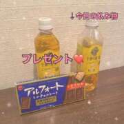 ヒメ日記 2025/03/17 13:46 投稿 水野すみれ 京都ホットポイント