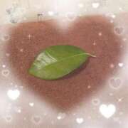 ヒメ日記 2025/03/17 17:02 投稿 水野すみれ 京都ホットポイント