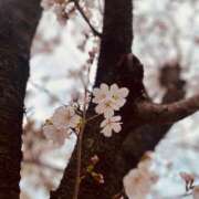 ヒメ日記 2025/03/28 07:01 投稿 水野すみれ 京都ホットポイント