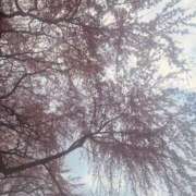 ヒメ日記 2025/04/03 21:06 投稿 水野すみれ 京都ホットポイント