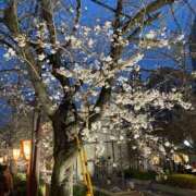 ヒメ日記 2025/04/04 23:06 投稿 水野すみれ 京都ホットポイント