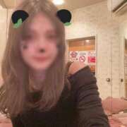 ヒメ日記 2025/04/09 08:00 投稿 水野すみれ 京都ホットポイント