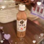 ヒメ日記 2025/06/22 06:00 投稿 水野すみれ 京都ホットポイント