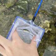 ヒメ日記 2025/08/26 13:54 投稿 水野すみれ 京都ホットポイント