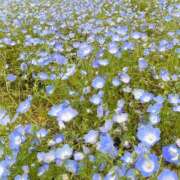 ヒメ日記 2026/05/01 14:00 投稿 水野すみれ 京都ホットポイント