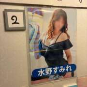 水野すみれ 昨日の日間🥈 京都ホットポイント