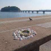 ヒメ日記 2025/05/14 16:24 投稿 飯島はるか 五十路マダム 浜松店(カサブランカグループ)