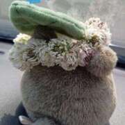 ヒメ日記 2025/05/28 15:40 投稿 飯島はるか 五十路マダム 浜松店(カサブランカグループ)