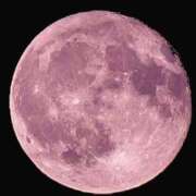 ヒメ日記 2025/06/12 19:58 投稿 飯島はるか 五十路マダム 浜松店(カサブランカグループ)