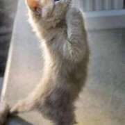 ヒメ日記 2025/06/27 18:08 投稿 飯島はるか 五十路マダム 浜松店(カサブランカグループ)