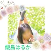 ヒメ日記 2025/09/07 14:04 投稿 飯島はるか 五十路マダム 浜松店(カサブランカグループ)