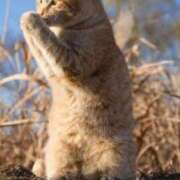 ヒメ日記 2025/09/14 21:28 投稿 飯島はるか 五十路マダム 浜松店(カサブランカグループ)