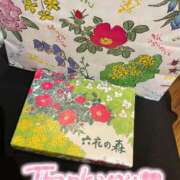 ヒメ日記 2025/05/18 23:17 投稿 りく 姫コレクション(千葉)