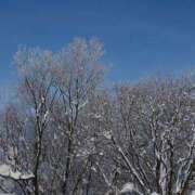 ヒメ日記 2025/01/22 07:33 投稿 さくらぎ 厚木人妻城