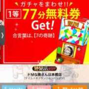 ヒメ日記 2024/12/17 12:14 投稿 インリン ドMな奥さん 日本橋店