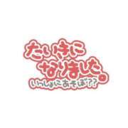 ヒメ日記 2023/11/16 22:10 投稿 みさき 鹿児島ちゃんこ霧島店