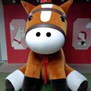 ヒメ日記 2025/12/08 17:18 投稿 たえこ 木更津人妻花壇