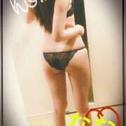 ヒメ日記 2025/03/23 13:07 投稿 なな ラヴィッシュ