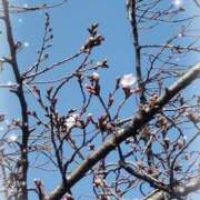 ヒメ日記 2026/03/25 18:24 投稿 ななこ 妻天 京橋店